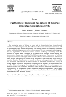 Weathering of Rocks and Neogenesis of Minerals Associated with Lichen Activity