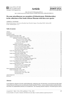 Echinodermata: Holothuroidea) in the Collections of the South African Museum with Three New Species