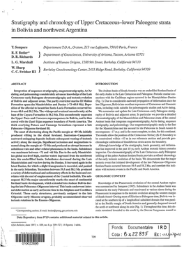 Stratigraphy and Chronology of Upper Cretaceous-Lower Paleogene Strata in Bolivia and Northwest Argentina