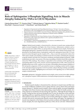 Role of Sphingosine 1-Phosphate Signalling Axis in Muscle Atrophy Induced by Tnfα in C2C12 Myotubes