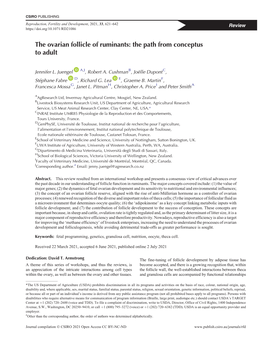 The Ovarian Follicle of Ruminants: the Path from Conceptus to Adult