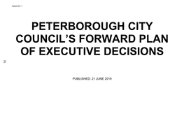 Peterborough City Council's Forward Plan of Executive