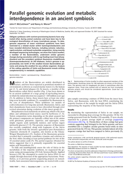 Parallel Genomic Evolution and Metabolic Interdependence in an Ancient Symbiosis