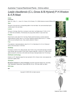 Lasjia Claudiensis (C.L.Gross & B.Hyland) P.H.Weston & A.R.Mast Family: Proteaceae Mast, A.R., Willis, C.L., Jones, E.H., Downs, K.M