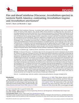 Fire and Dwarf Mistletoe (Viscaceae: Arceuthobium Species) in Western North America: Contrasting Arceuthobium Tsugense and Arceuthobium Americanum1 David C