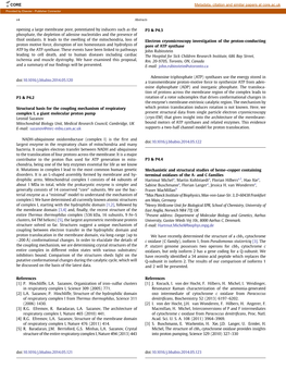 Electron Cryomicroscopy Investigation of the Proton