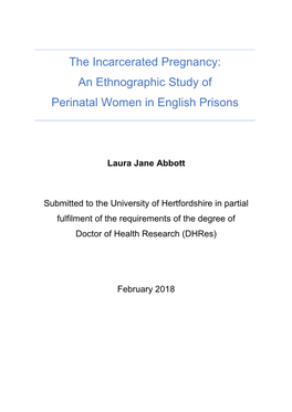 The Incarcerated Pregnancy: an Ethnographic Study of Perinatal Women in English Prisons