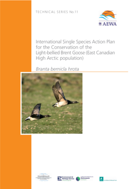 International Single Species Action Plan for the Conservation of the Light-Bellied Brent Goose (East Canadian High Arctic Population)