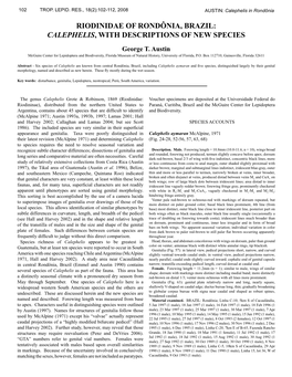 Riodinidae of Rondônia, Brazil: Calephelis, with Descriptions of New Species