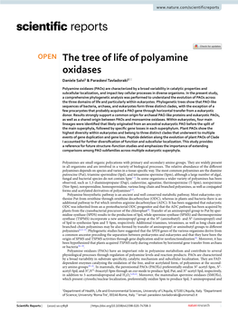 The Tree of Life of Polyamine Oxidases Daniele Salvi1 & Paraskevi Tavladoraki2*