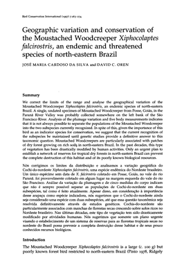 Geographic Variation and Conservation of the Moustached Woodcreeper Xiphocolaptes Falcirostris, an Endemic and Threatened Species of North-Eastern Brazil