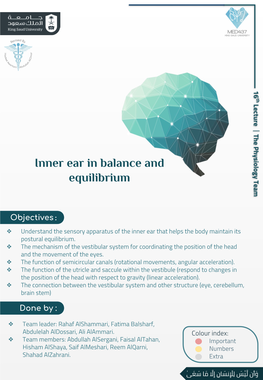 Inner Ear in Balance and Equilibrium