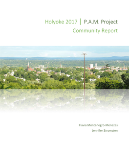 Holyoke Community Report 2017