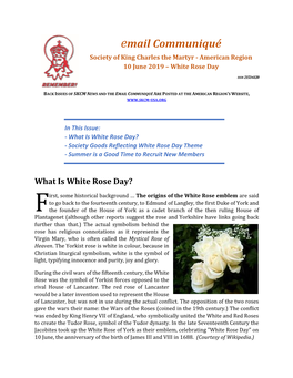 What Is White Rose Day? - Society Goods Reflecting White Rose Day Theme - Summer Is a Good Time to Recruit New Members