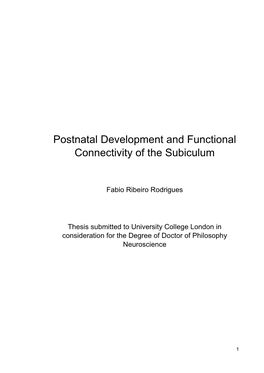 Postnatal Development and Functional Connectivity of the Subiculum