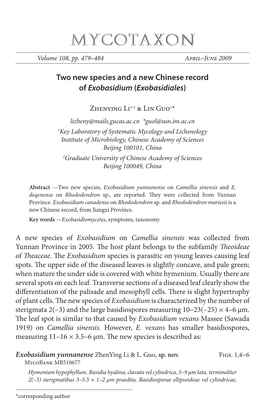 Two New Species and a New Chinese Record of &lt;I&gt;Exobasidium&lt;/I&gt; (&lt;I