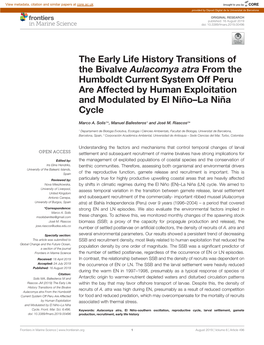 The Early Life History Transitions of the Bivalve Aulacomya Atra From