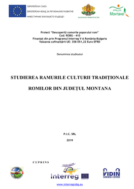 Studierea Ramurile Culturii Tradiționale Romilor Din