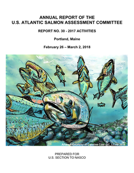 Annual Report of the U.S. Atlantic Salmon Assessment Committee