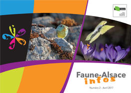 Faune-Alsace I N F O S Numéro 2 - Avril 2017 24 Heures De La Biodiversité 2017