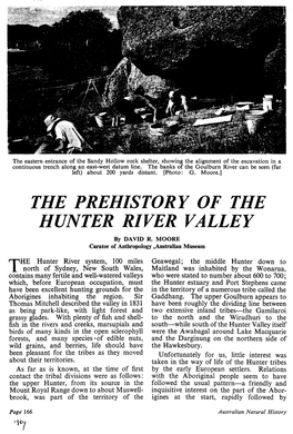 “The Prehistory of the Hunter River Valley” in Australian Natural History