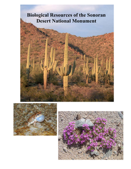 Biological Resources of the Sonoran Desert National Monument Biological Resources of the Sonoran Desert National Monument, Arizona