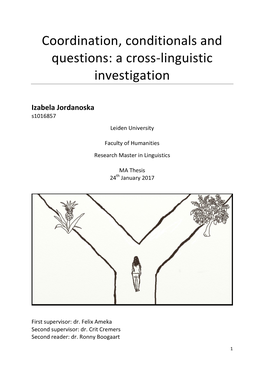 A Cross-Linguistic Investigation