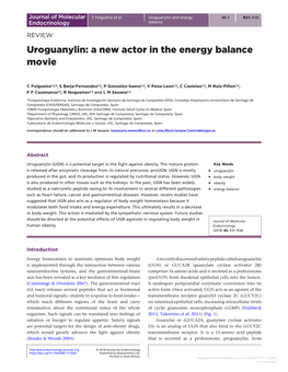 Uroguanylin: a New Actor in the Energy Balance Movie