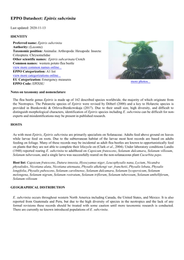 EPPO Datasheet: Epitrix Subcrinita