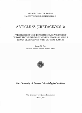 Article 58 (Cretaceous 3)