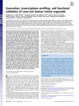 Generation, Transcriptome Profiling, and Functional Validation of Cone-Rich Human Retinal Organoids