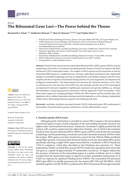 The Ribosomal Gene Loci—The Power Behind the Throne