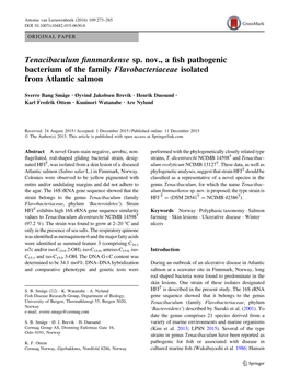 Tenacibaculum Finnmarkense Sp. Nov., a Fish Pathogenic Bacterium Of