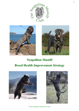 Neapolitan Mastiff Breed Health Improvement Strategy