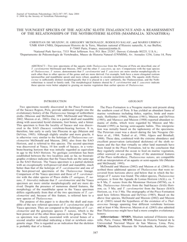 The Youngest Species of the Aquatic Sloth Thalassocnus and a Reassessment of the Relationships of the Nothrothere Sloths (Mammalia: Xenarthra)