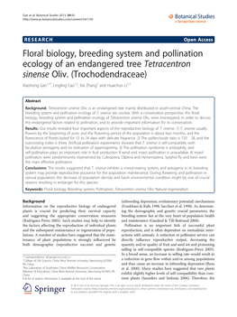 Floral Biology, Breeding System and Pollination Ecology of an Endangered Tree Tetracentron Sinense Oliv