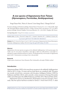 A New Species of Stigmatomma from Taiwan (Hymenoptera, Formicidae, Amblyoponinae)