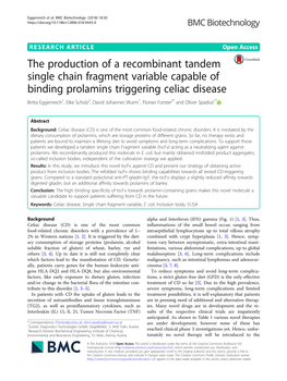 The Production of a Recombinant Tandem Single Chain Fragment