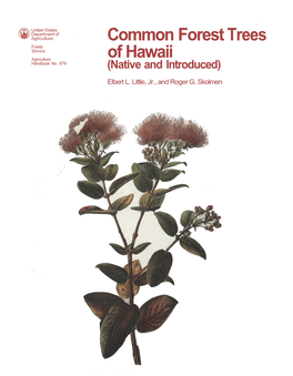 Common Forest Trees of Hawaii / Elbert L Little, Jr., Roger G