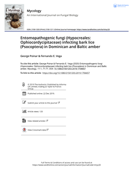 Entomopathogenic Fungi (Hypocreales: Ophiocordycipitaceae) Infecting Bark Lice (Psocoptera) in Dominican and Baltic Amber