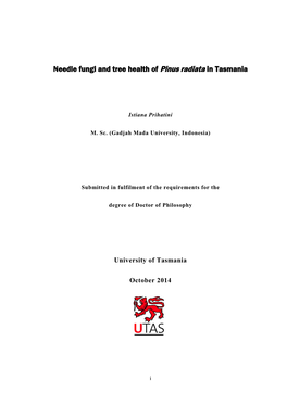 Needle Fungi and Tree Health of Pinus Radiata in Tasmania