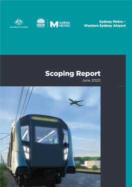 Scoping Report June 2020