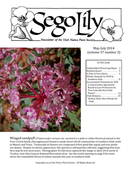 May-July 2014 Sego Lily