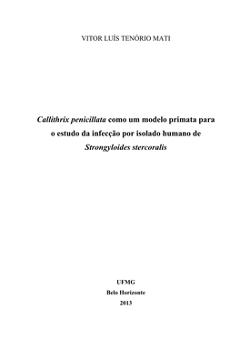 Callithrix Penicillata Como Um Modelo Primata Para O Estudo Da Infecção Por Isolado Humano De Strongyloides Stercoralis