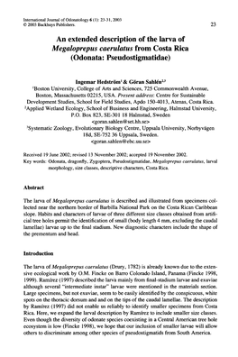 An Extended Description of the Larva of Megaloprepus Caerulatus from Costa Rica (Odonata: Pseudostigmatidae)