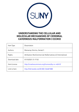 Understanding the Cellular and Molecular Mechanisms of Cerebral Cavernous Malformation 3 (Ccm3)