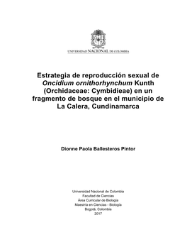 Estrategia De Reproducción Sexual De Oncidium Ornithorhynchum Kunth (Orchidaceae: Cymbidieae) En Un Fragmento De Bosque En El Municipio De La Calera, Cundinamarca