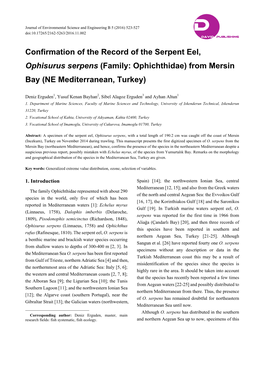 Confirmation of the Record of the Serpent Eel, Ophisurus Serpens (Family: Ophichthidae) from Mersin Bay (NE Mediterranean, Turkey)