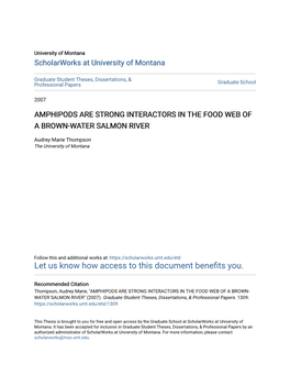 Amphipods Are Strong Interactors in the Food Web of a Brown-Water Salmon River