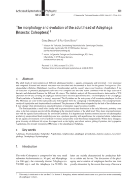 The Morphology and Evolution of the Adult Head of Adephaga (Insecta: Coleoptera) 1